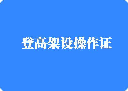 美女被大鸡巴操视频在线观看登高架设操作证